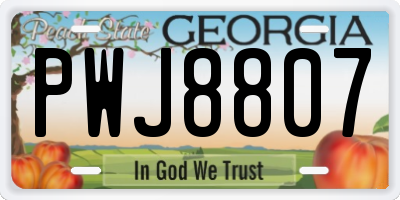 GA license plate PWJ8807