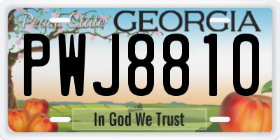 GA license plate PWJ8810