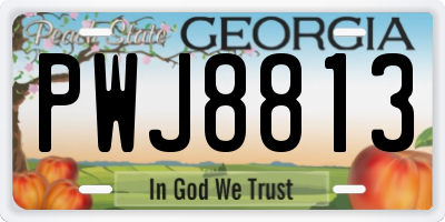 GA license plate PWJ8813