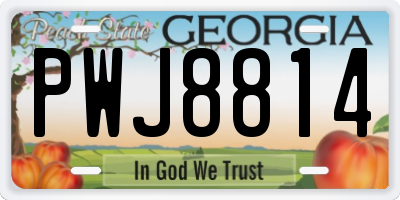 GA license plate PWJ8814
