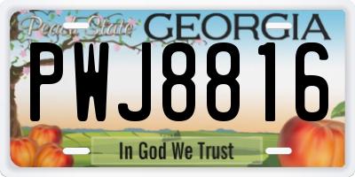 GA license plate PWJ8816