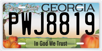 GA license plate PWJ8819
