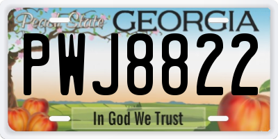 GA license plate PWJ8822