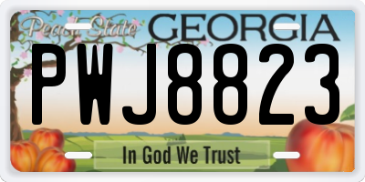 GA license plate PWJ8823