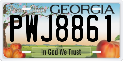 GA license plate PWJ8861