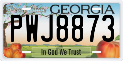 GA license plate PWJ8873