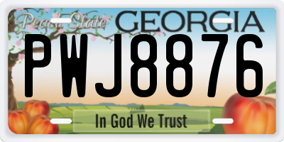 GA license plate PWJ8876
