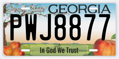 GA license plate PWJ8877