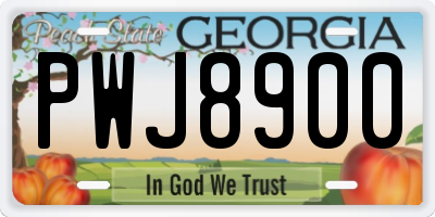 GA license plate PWJ8900