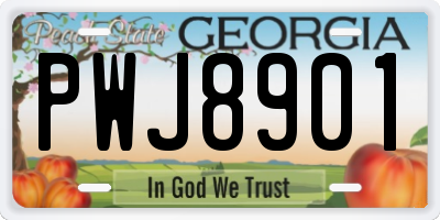GA license plate PWJ8901