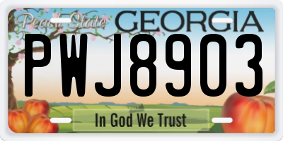 GA license plate PWJ8903