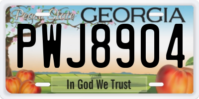 GA license plate PWJ8904