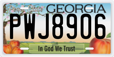 GA license plate PWJ8906