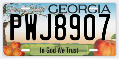 GA license plate PWJ8907
