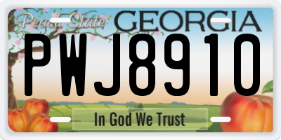 GA license plate PWJ8910