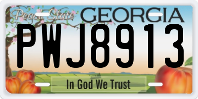 GA license plate PWJ8913