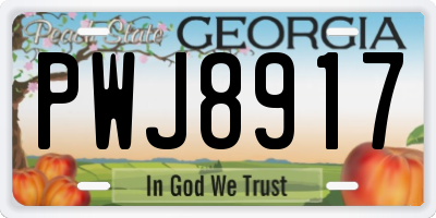 GA license plate PWJ8917