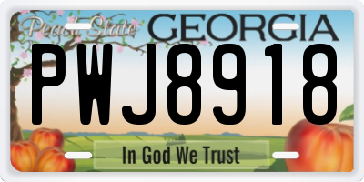GA license plate PWJ8918