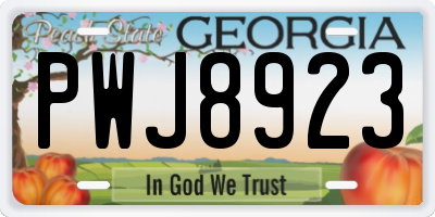 GA license plate PWJ8923