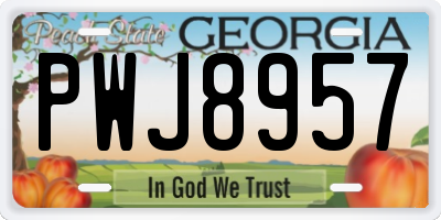 GA license plate PWJ8957