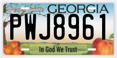 GA license plate PWJ8961