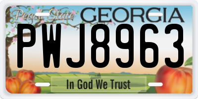 GA license plate PWJ8963