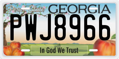 GA license plate PWJ8966