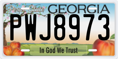 GA license plate PWJ8973