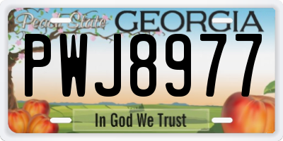 GA license plate PWJ8977