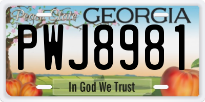 GA license plate PWJ8981