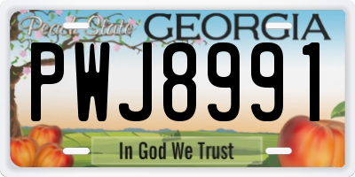 GA license plate PWJ8991