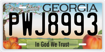 GA license plate PWJ8993
