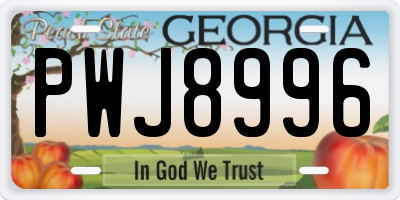 GA license plate PWJ8996
