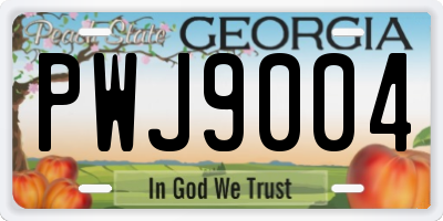 GA license plate PWJ9004