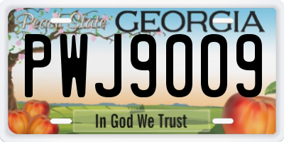 GA license plate PWJ9009