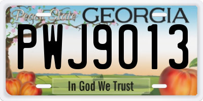 GA license plate PWJ9013