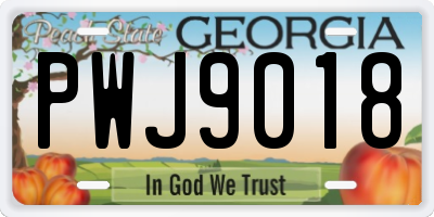 GA license plate PWJ9018