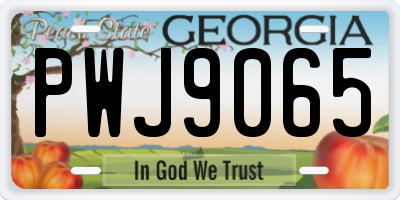 GA license plate PWJ9065