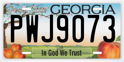 GA license plate PWJ9073