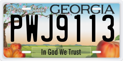 GA license plate PWJ9113