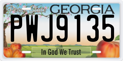 GA license plate PWJ9135