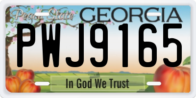 GA license plate PWJ9165