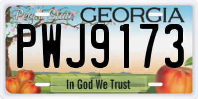 GA license plate PWJ9173