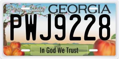 GA license plate PWJ9228