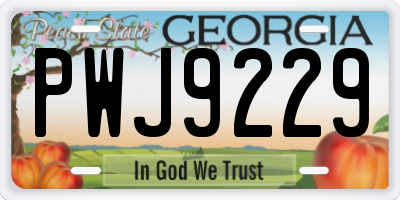 GA license plate PWJ9229