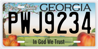 GA license plate PWJ9234
