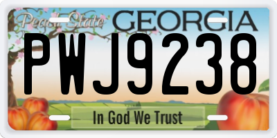 GA license plate PWJ9238