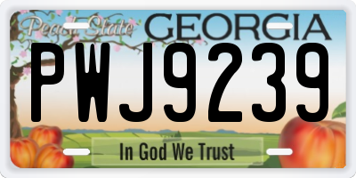 GA license plate PWJ9239