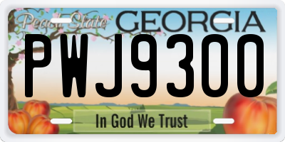 GA license plate PWJ9300