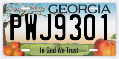 GA license plate PWJ9301